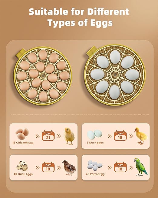 18 Egg Incubator with Automatic Egg Turning - Hatching Unit with Digital Control & Built-in Candler - Incubation System with 2 Hatcher Trays for Chicken, Duck, Goose, Quail, Parrot Eggs - Yellow