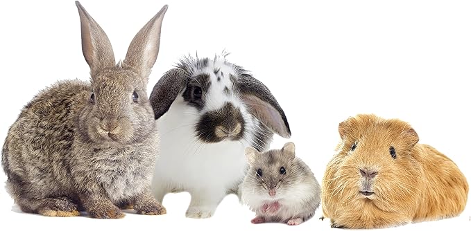 High Desert Orchard Grass Hay for Guinea Pigs, Rabbits, and More Small Animal Pets (OH-MD)