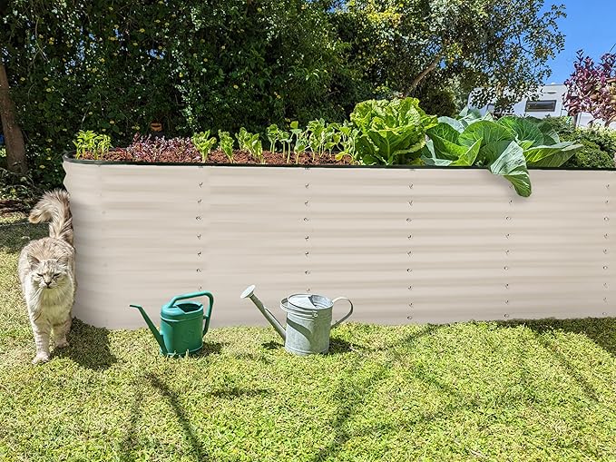Plant & Plot Galvanized Raised Garden Beds Outdoor // 8×2×2 ft Planter Raised Beds for Gardening, Vegetables, Flowers (White) // Large Metal Garden Box // Patented Tool-Free Design