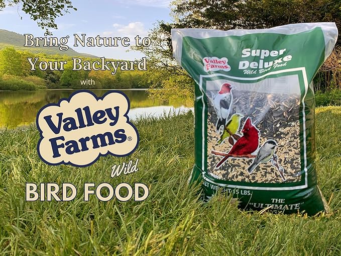 Valley Farms Super Deluxe Wild Bird Food 4 LBS (Pack of 2) for Outside feeders - 0% fillers - w/Sunflower Seed -Peanut kernels -Feed More Birds w/Less Seed