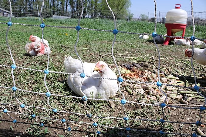 Starkline Electric Poultry Netting 48" x 82' Electric Poultry Netting w/Double Spiked Fiberglass Posts (12/48/3) Electric Fence for Chickens in Backyards, on Homesteads, Farms and Ranches