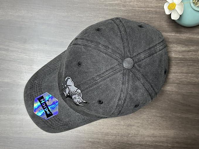 Embroidered Baseball Hats for Men and Women