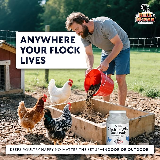 4 x 5.5lb Chickie Whiz Dust Bath, All-Natural Chickie Whiz Dust Bath Powder for Chickens for Healthier Chicken Eggs, Clean, Healthy Chickens Other Small Pet Animals by Billy Buckskin Co.