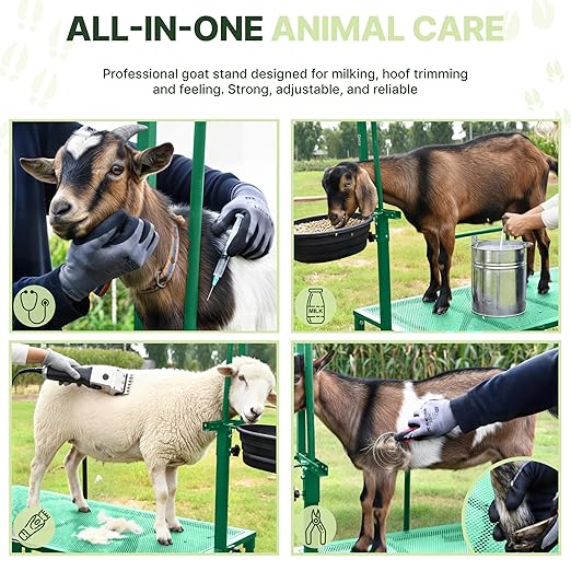 Goat Stand with Adjustable Headpiece & Legs, Goat Milking Stand with Feeder, Rails & Wheels, Stanchion for Grooming & Hoof Trimming, Sheep Stand for Shearing Heavy-Duty Steel Platform, Green