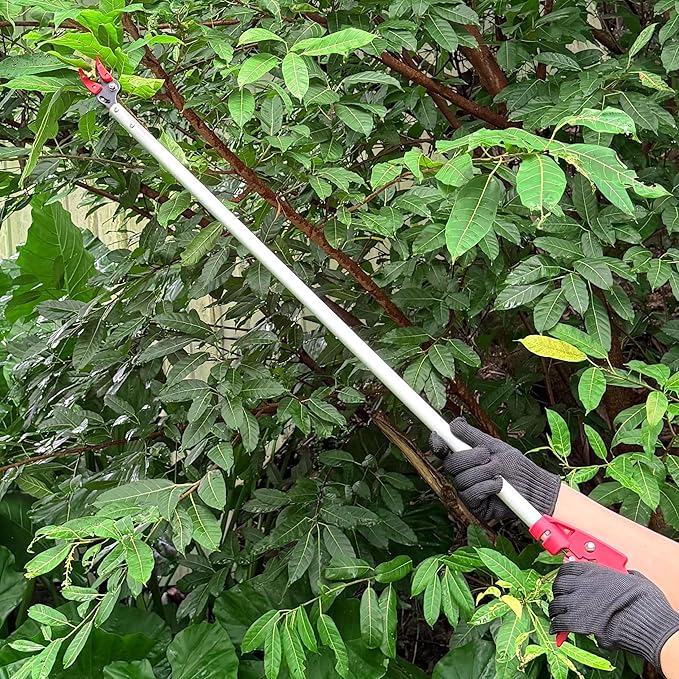 Tree Pruner, 3.3 FT Long Reach Pruner with SK5 Steel Blade, Aluminum Pole Tree Trimmer, Fruit Picking Tool