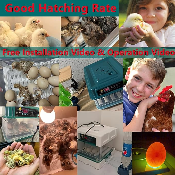 Egg Automatic Incubator 24-60 Eggs Automatic Intelligent Incubators for Hatching Eggs,Poultry Hatching Machine for Chicken Duck Goose Quail Bird Pigeon (15-GREEN1)