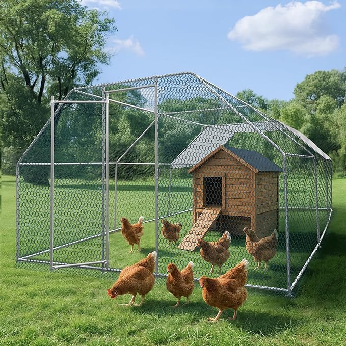 VINGLI Chicken Coop, Large Metal Poultry Cage for Chicken Run, Walk-in Chicken Pen with Waterproof & Anti-UV Cover Outdoor (Silver-Flat Roof, 19.7 * 9.8 * 6.5 ft)