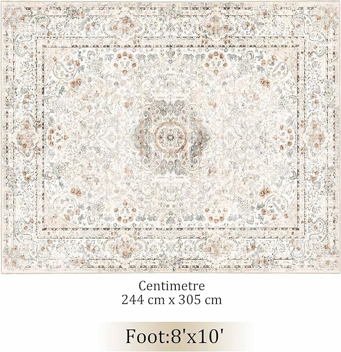 Boho Rug 3x5,Washable Area Rugs for Bedroom Living Room Kitchen Entryway,Small Vintage Bohemian Distressed Non Slip Carpet,Beige
