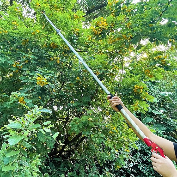 Telescopic Tree Trimmer 5.8-10 FT with 2 Section, 4 Node Adjustable, Cut and Hold Pruner, Pole Saw Extendable, Long Handle Fruit Picker, Branch Cutter, Loppers, Clippers With Hook