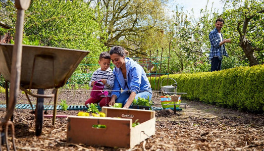 Why Self-Sufficient Living Is Becoming More Popular
