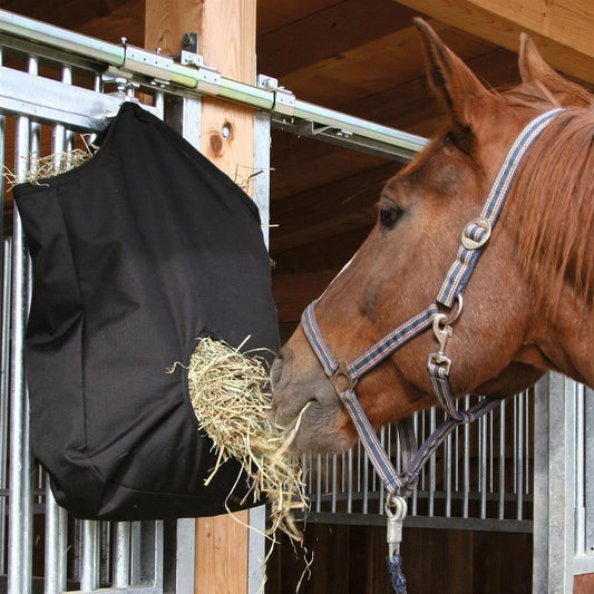 Why Hay Bags Have Become a Barn Favorite