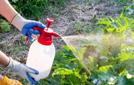 Spring Pest Control Guide: Protect Your Garden the Smart Way