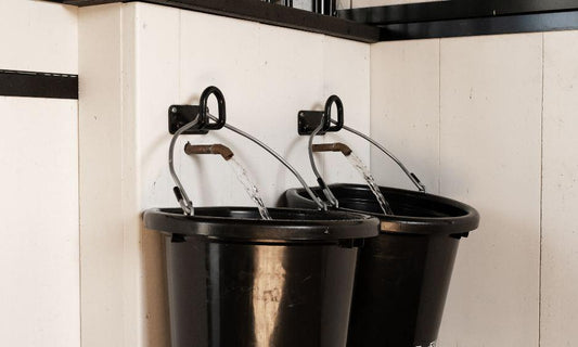 Keeping Water Buckets Clean Is Easier With the Right Routine