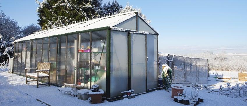 From Frozen to Growing: What Alaskans Actually Start Doing in April