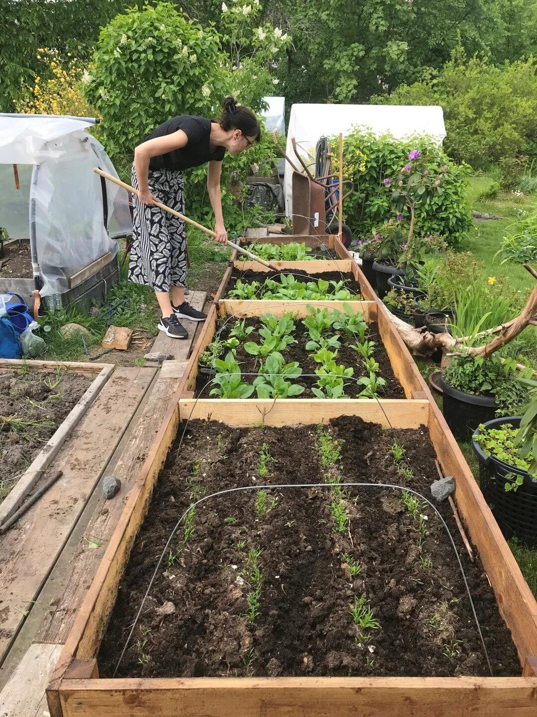 What to Plant in September: 8 Vegetables You Can Still Grow This Fall