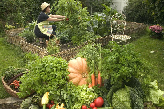 Why Backyard Gardens Are Making a Big Comeback