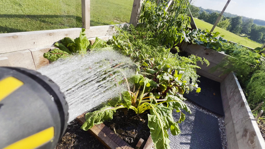 Beginner’s Guide to Growing Your Own Food: Simple Steps for a Successful Start