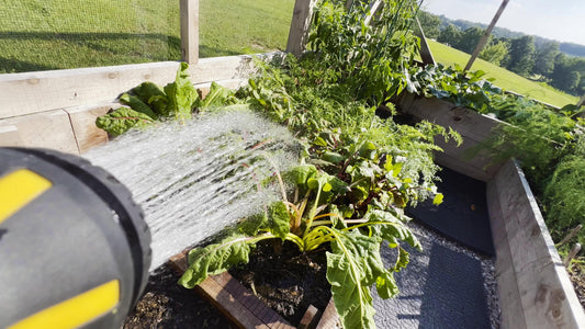 Beginner’s Guide to Growing Your Own Food: Simple Steps for a Successful Start