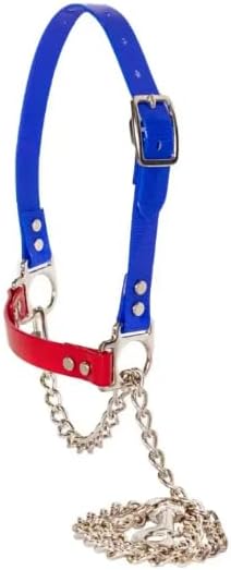 SULLIVAN'S Next Level Sheep & Goat Halter (Blue/Red)