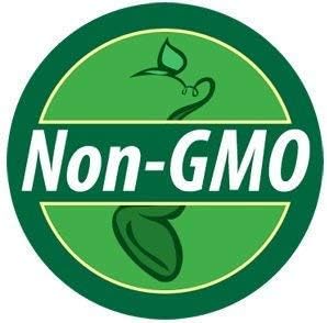 Non GMO Bulk Sunny - Sunflower Seed Mix 2,250 Seeds 10 Species of Wildflower Seeds Helianthus annuus (10 Lbs)