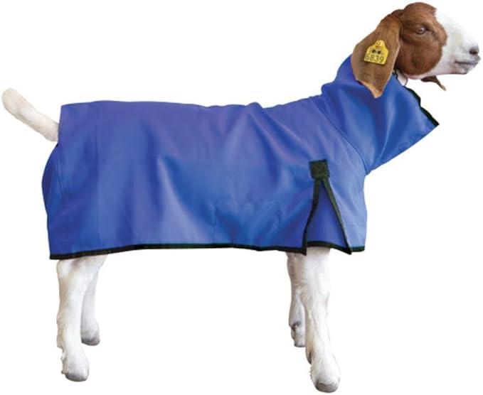 Goat Blanket, Medium, Blue