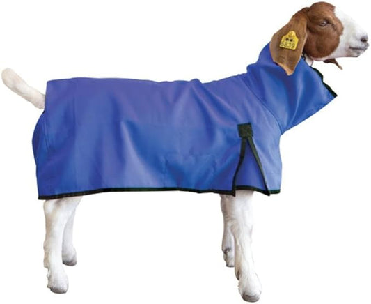 Goat Blanket, Medium, Blue