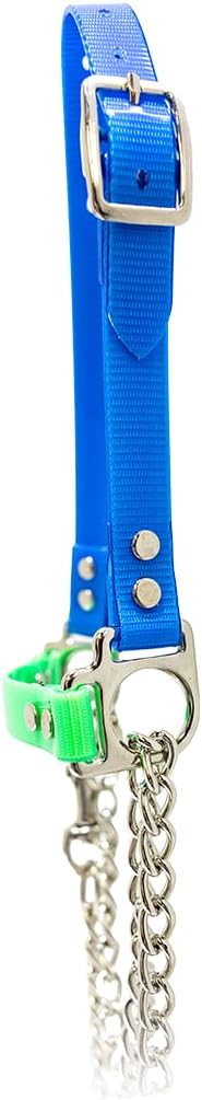 SULLIVAN'S Next Level Sheep & Goat Halter (Light Blue/Lime Green)