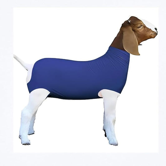 Spandex Goat Tube for Show Goats - Show Livestock Supplies: Goat Covers & Blankets (Sky Blue, Medium)