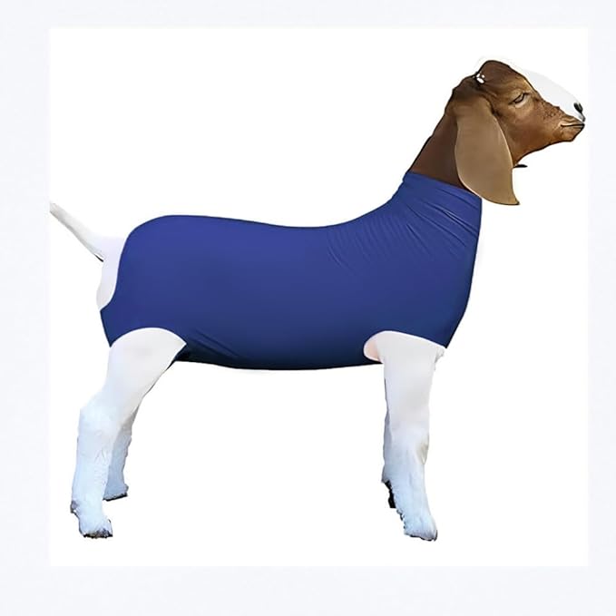 Spandex Goat Tube for Show Goats - Show Livestock Supplies: Goat Covers & Blankets (Sky Blue, Large)