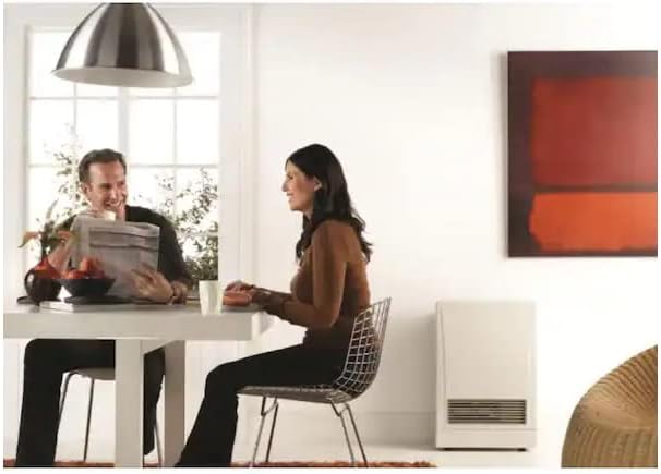 Rinnai EX38DTWN Direct Vent Wall Furnace, Indoor Natural Gas Heater, Energy Efficient Space Heater, 38,400 BTU, White