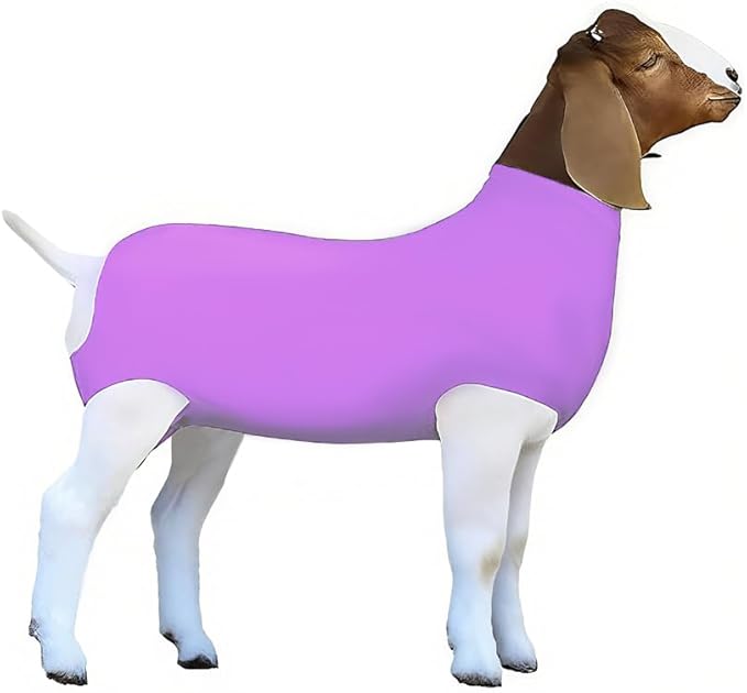 Spandex Goat Tube for Show Goats - Show Livestock Supplies: Goat Covers & Blankets Rich in Color (Medium, Large) (Violet, Large)