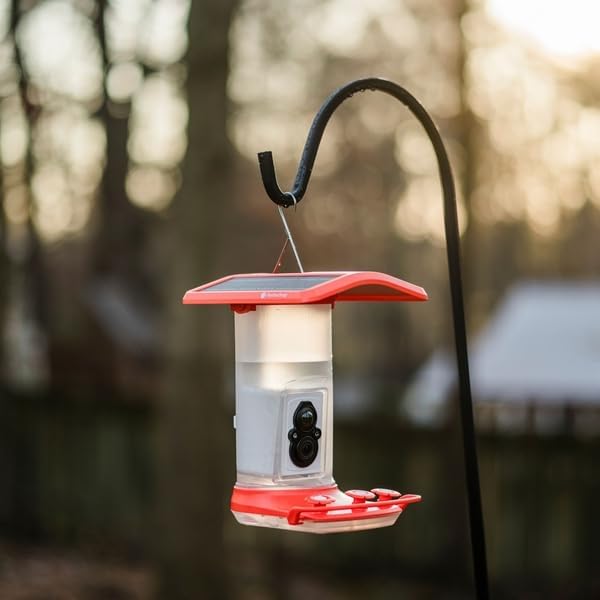 Smart Hummingbird Feeder: AI Bird ID, Wi-Fi and Solar Power, Stunning HD Images and Videos are Sent Directly to Your Phone, Easy to Clean and Hang - Best Smart Hummingbird Feeder