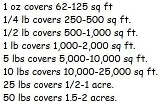 Dirt Goddess Super Seeds ~ Dwarf Sunspot Sunflower Seeds (1/2 Lb) (Helianthus Annuus) Non GMO