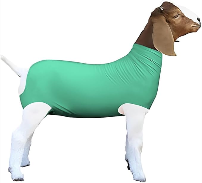 Spandex Goat Tube for Show Goats - Show Livestock Supplies: Goat Covers & Blankets (Pale Green, Large)