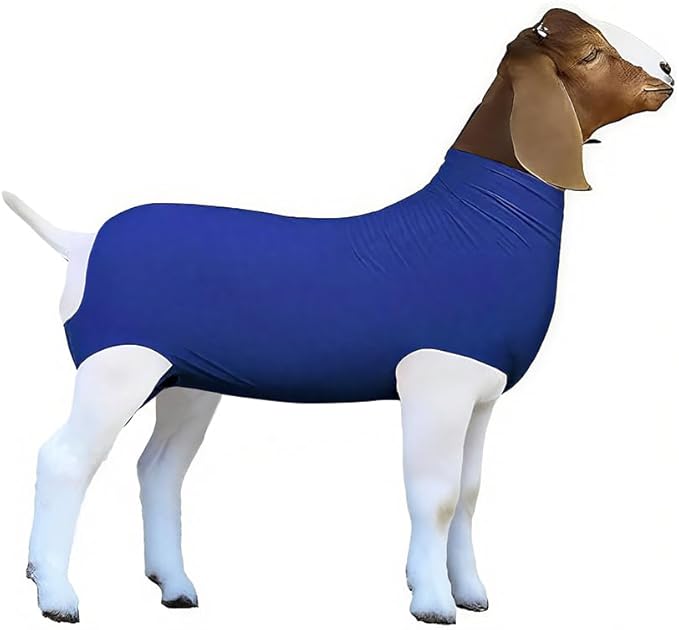 Spandex Goat Tube for Show Goats - Show Livestock Supplies: Goat Covers & Blankets Rich in Color (Medium, Large) (Blue, Large)