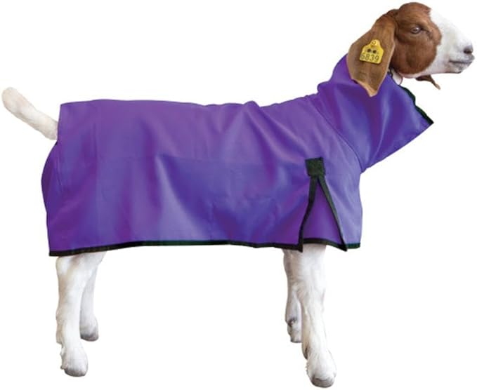 Goat Blanket, Medium, Purple