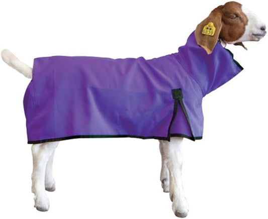 Goat Blanket, Medium, Purple