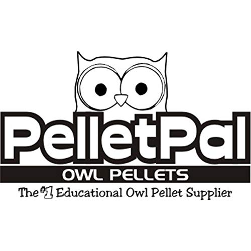 Premium Barn Owl Pellets, Small: 1.25"-1.5" (Pack of 5) - Free Bone ID Chart, 5 Forceps, 5 Paddle Picks, and Teaching Guide Included!