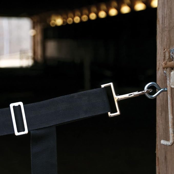 Dura-Tech Web Aisle Guard | Color Navy | Adjustable Size | Wide Web Straps | Provides Safety | Comes Complete with Accessories | Ideal for Hot Weather