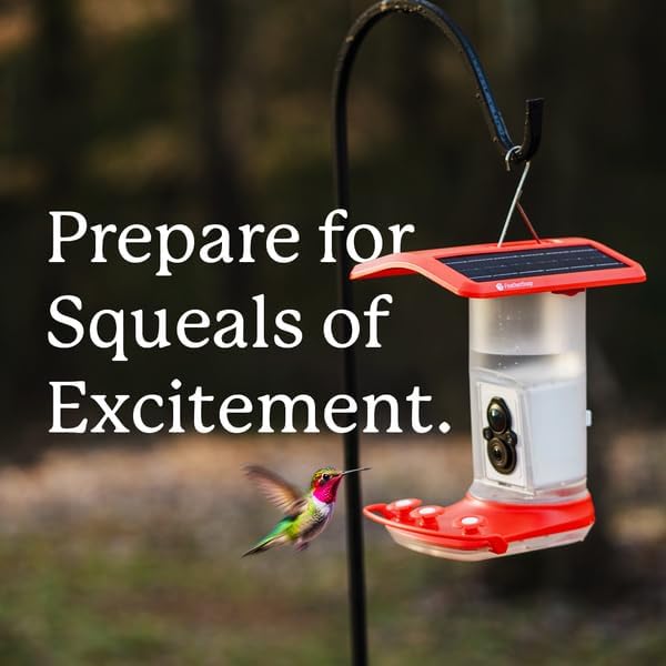 Smart Hummingbird Feeder: AI Bird ID, Wi-Fi and Solar Power, Stunning HD Images and Videos are Sent Directly to Your Phone, Easy to Clean and Hang - Best Smart Hummingbird Feeder