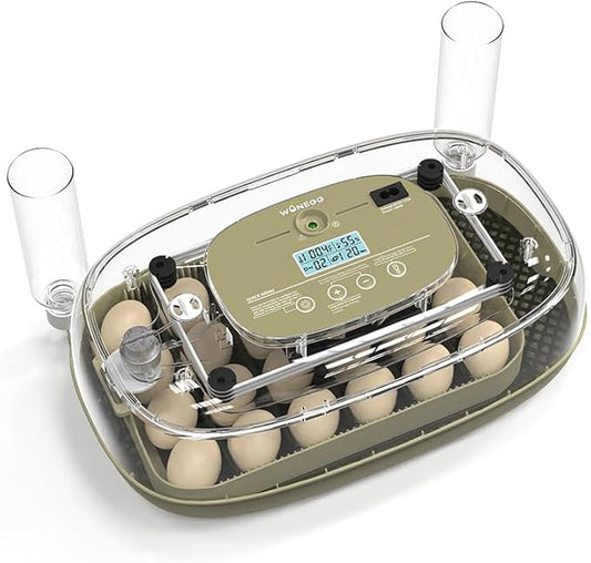 24 Egg Incubator for Hatching with Automatic Turner, Smart Temperature & Humidity Control, 360° Viewing, Egg Candler, Auto Water Refill, Ideal for Chicken, Duck, Farm or Home Use (24 Egg-Green)