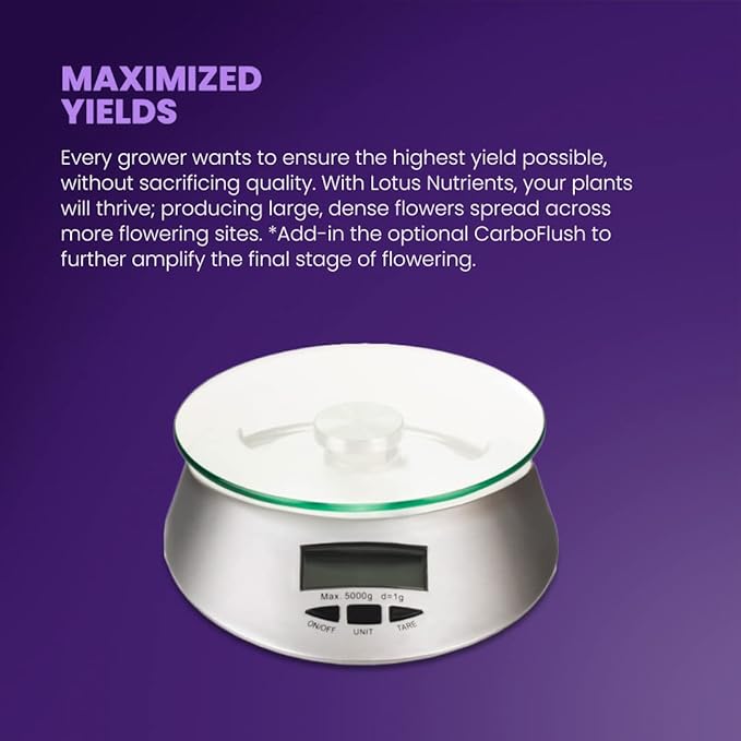 Bloom Pro Series - Hydroponic Plant Nutrients and Fertilizer, Water Soluble Plant Food, for Coco Coir Hydro and Soil, Enhances Flowering and Fruiting, Indoor and Outdoor Grows (32oz)