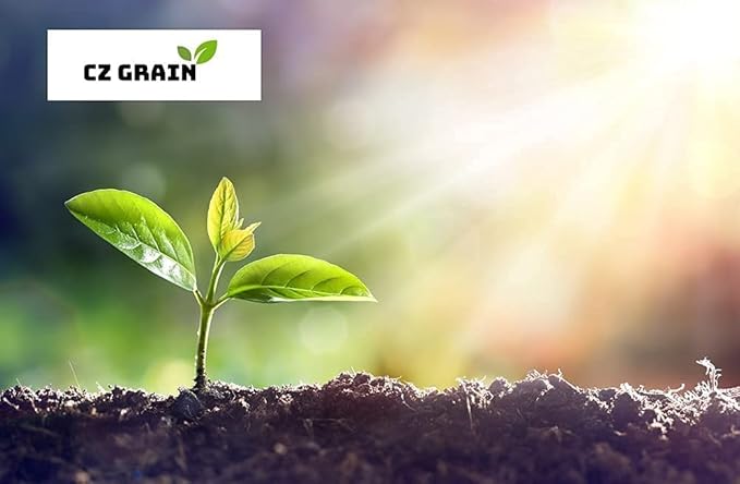 Smart Beet Pellets for Feeding - Horse, Pony, Goat, Cattle Feed - Good for Brain Health and Natural Sweetener (2 Pounds)