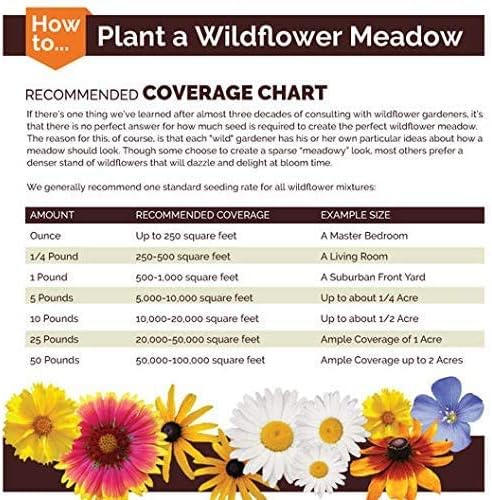 Dirt Goddess Super Seeds ~ Sunflower Seed Mix, Helianthus annuus (1 Lb) Non GMO Bulk, 10 Species of Wildflower Seeds- 2,250 Seeds