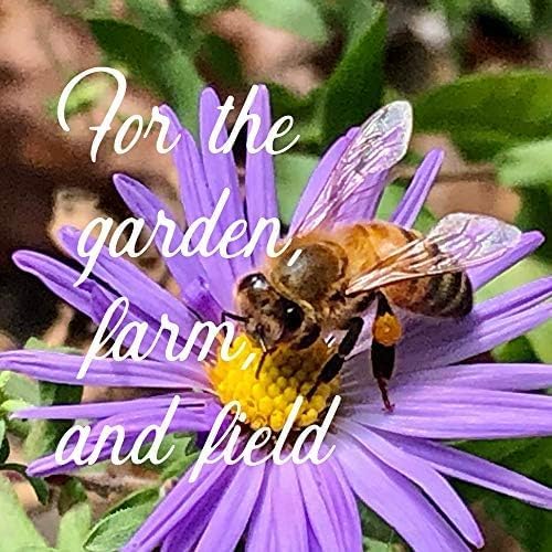 Pacific Northwest Wildflower Seeds for Planting - 4 Oz ~160,000+ Non-GMO Seeds - 25 Varieties Including Lupine, Columbine, Baby Blue Eyes & More - Pollinator Friendly Bulk Mix