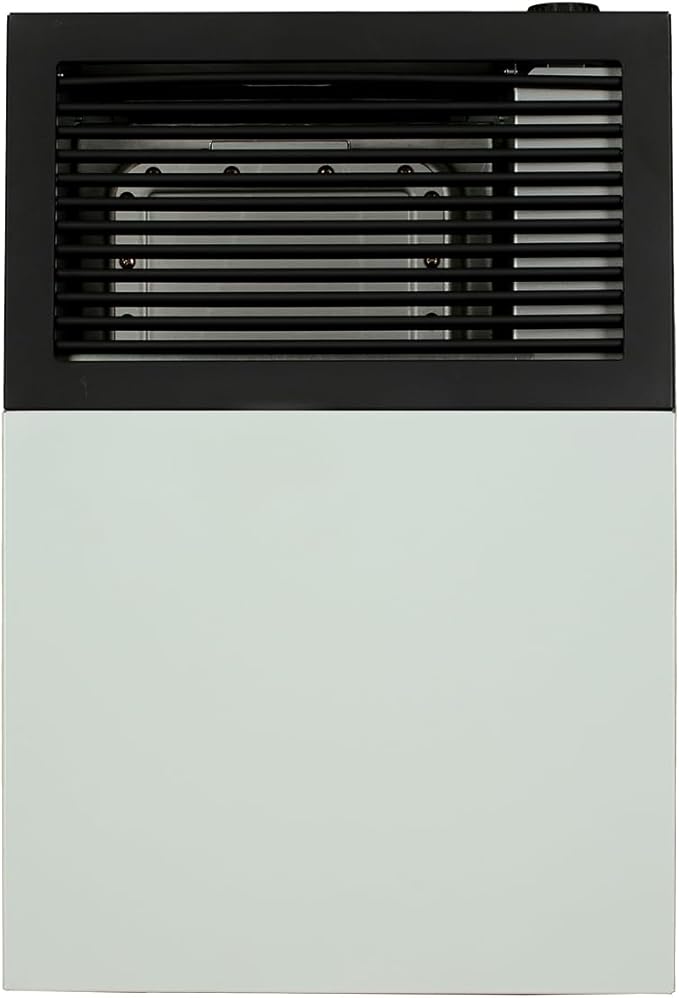 8,000 BTU DV LP Wall Heater