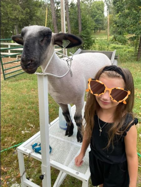 Goat Milking Stand Goat Stand Sheep Stand for Trimming Metal Livestock Stand with Adjustable Headpiece Goat Shearing Livestock Stand Height Adjustable, White