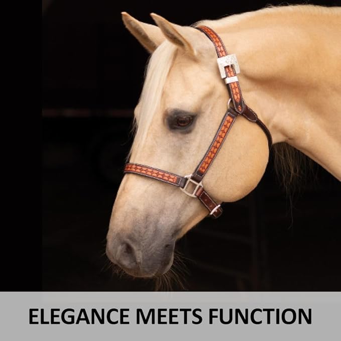 Schneiders Sunburst Ranch Western Show Halter for Horses | Hand-Tooled Leather | Semi-Custom Fit | Silver-Plated Hardware | Elegant Ranch Class Design