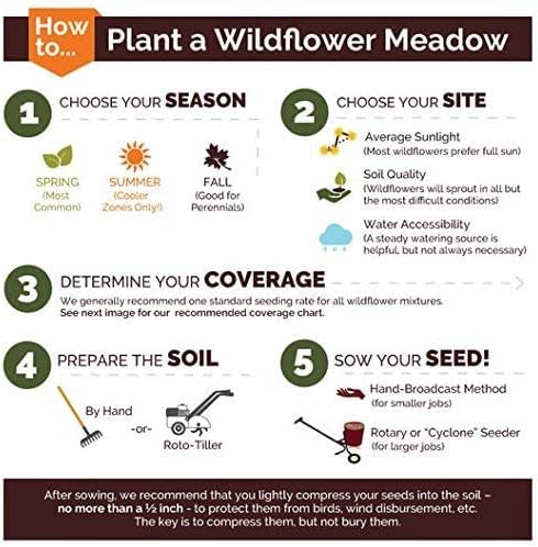 Non GMO Bulk Sunny - Sunflower Seed Mix 2,250 Seeds 10 Species of Wildflower Seeds Helianthus annuus (10 Lbs)