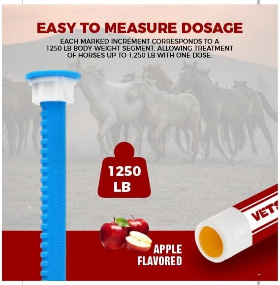 Horse Gel Paste 1.87% – 6 - Pack, 6.08g Each, Accurate Feeding for Horses up to 1,250 lbs, Boosts Growth & Energy